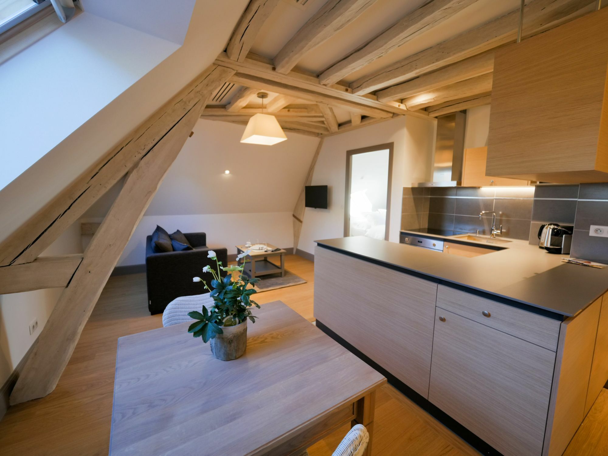 Aparthotel De Tourisme Parc Tours